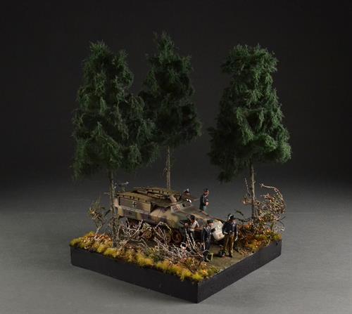 Coniferous forest and road - diorama