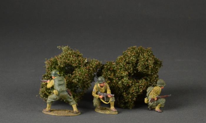 Low shrubs
