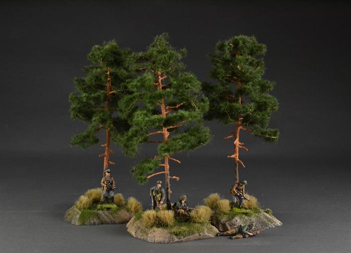 Pine tree