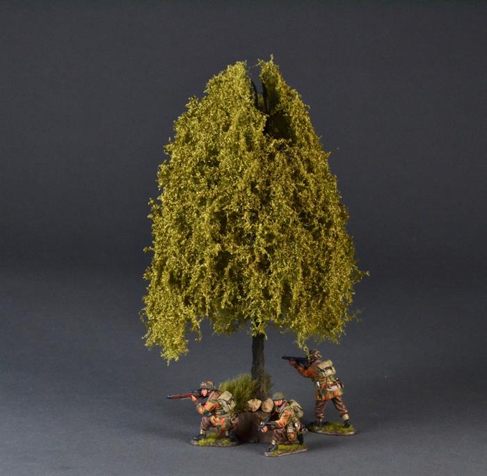 Large weeping willow tree