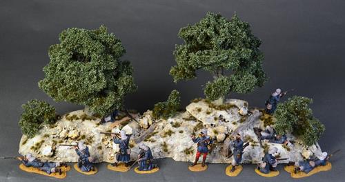 Rocky landscape with olive trees and bushes