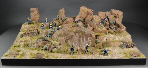 Sonoran Desert - Diorama